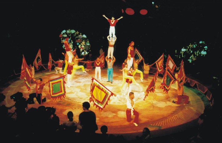 Le cirque au Vietnam - ảnh 1